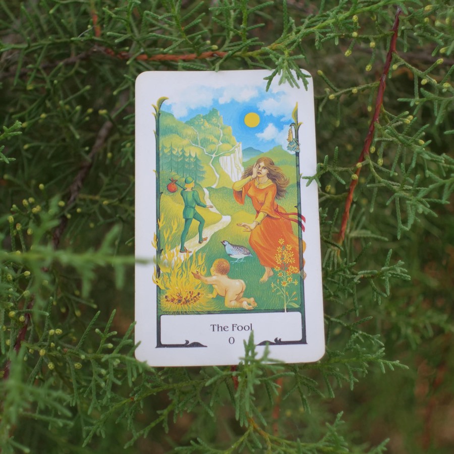 The The Fool tarot card photographed outdoors