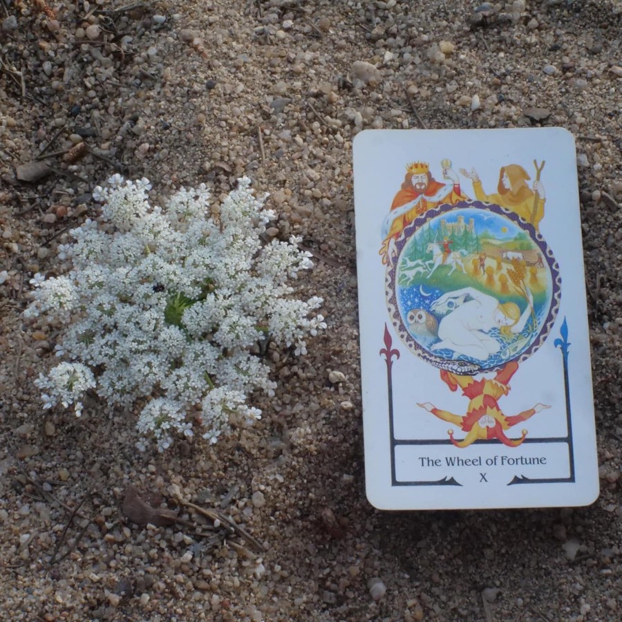 The Wheel of Fortune tarot card photographed outdoors