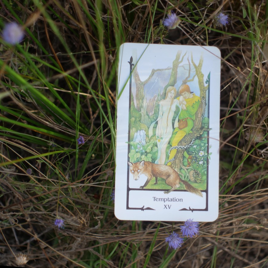 The The Devil tarot card photographed outdoors