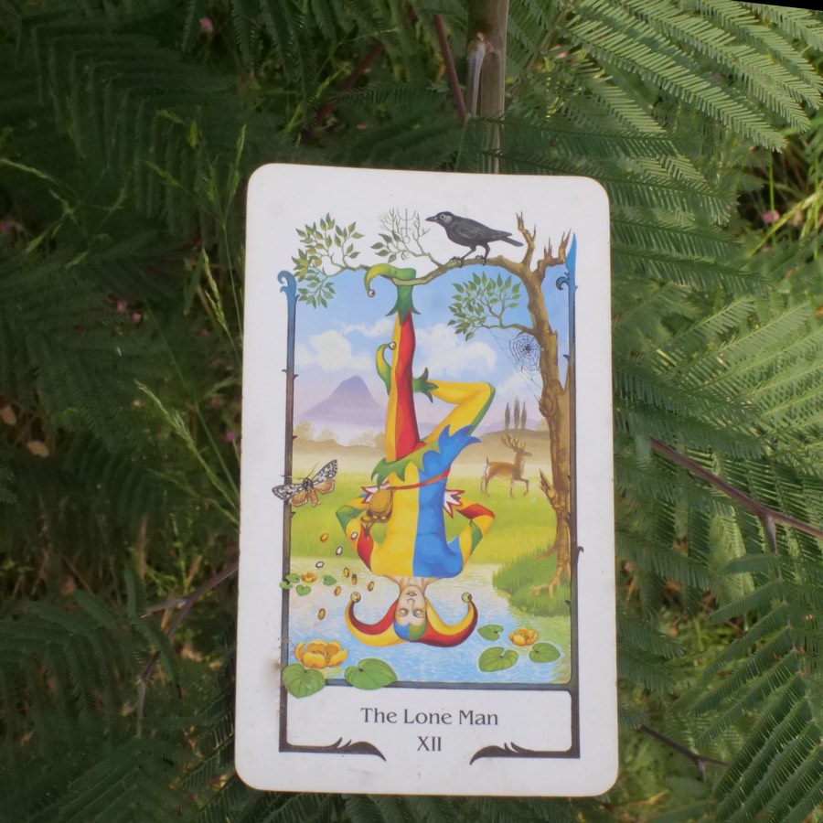 The The Hanged Man tarot card photographed outdoors