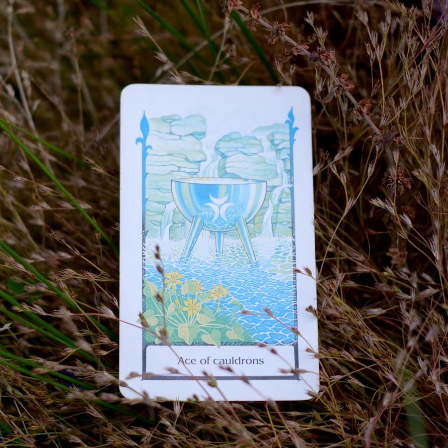 The Ace of Cups tarot card photographed outdoors