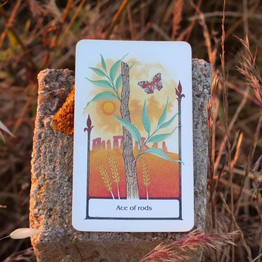 The Ace of Wands tarot card photographed outdoors