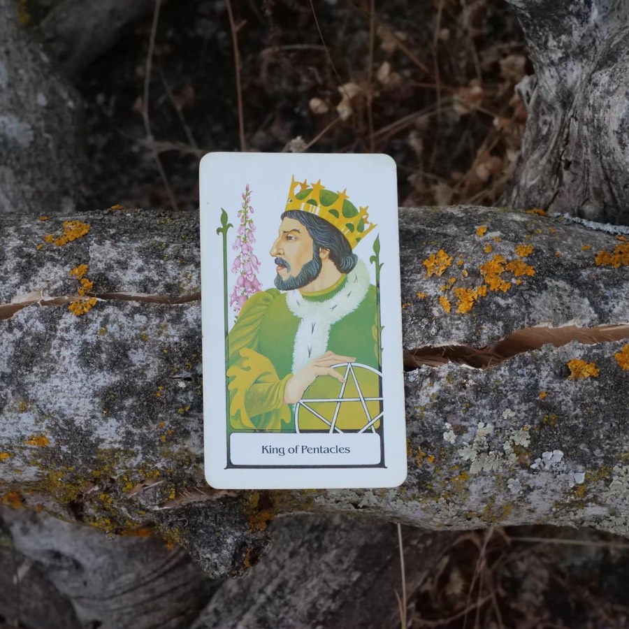 The King of Pentacles tarot card photographed outdoors