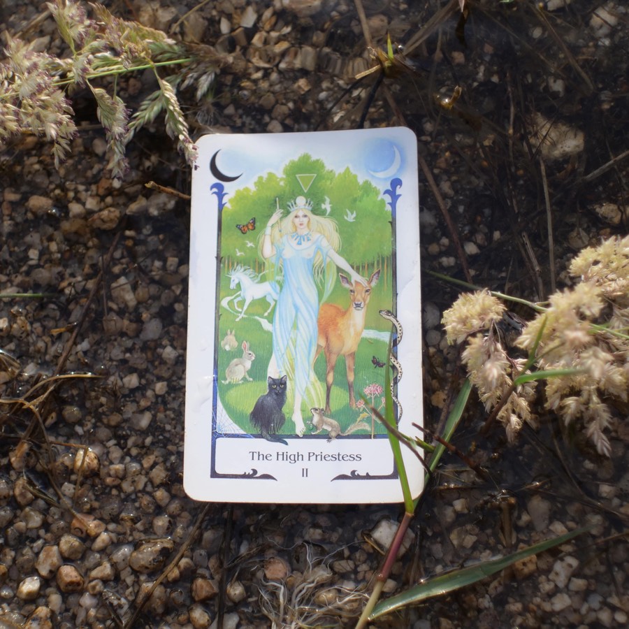 The The High Priestess tarot card photographed outdoors