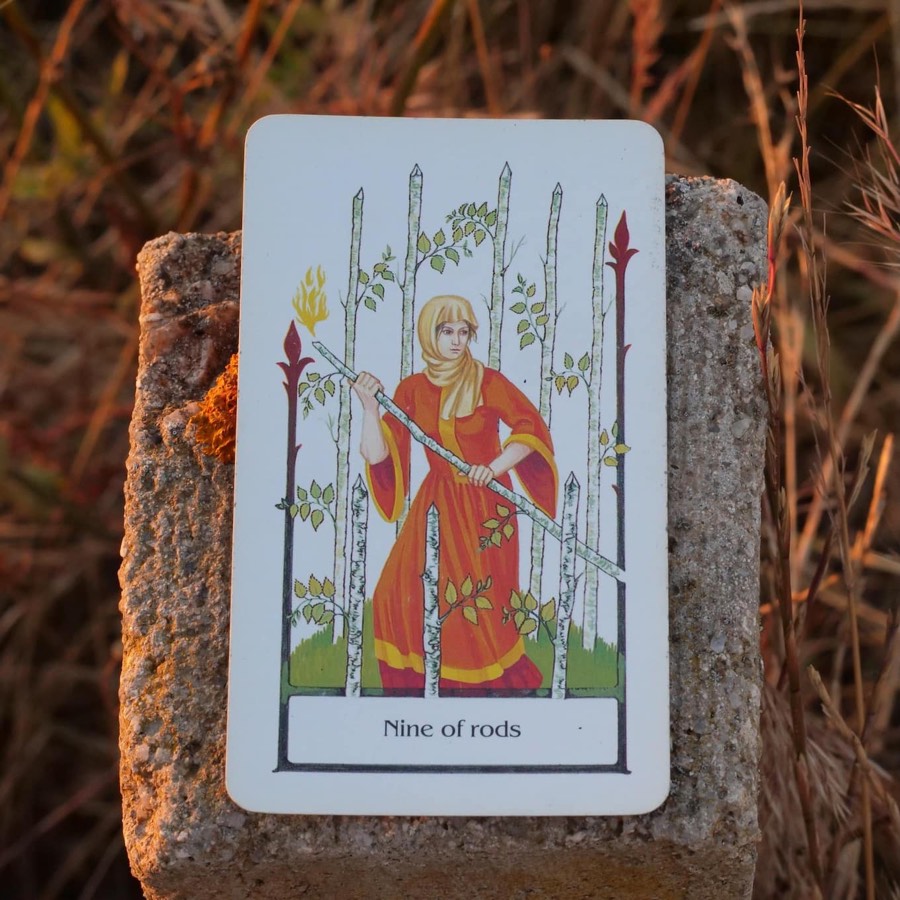 The Nine of Wands tarot card photographed outdoors