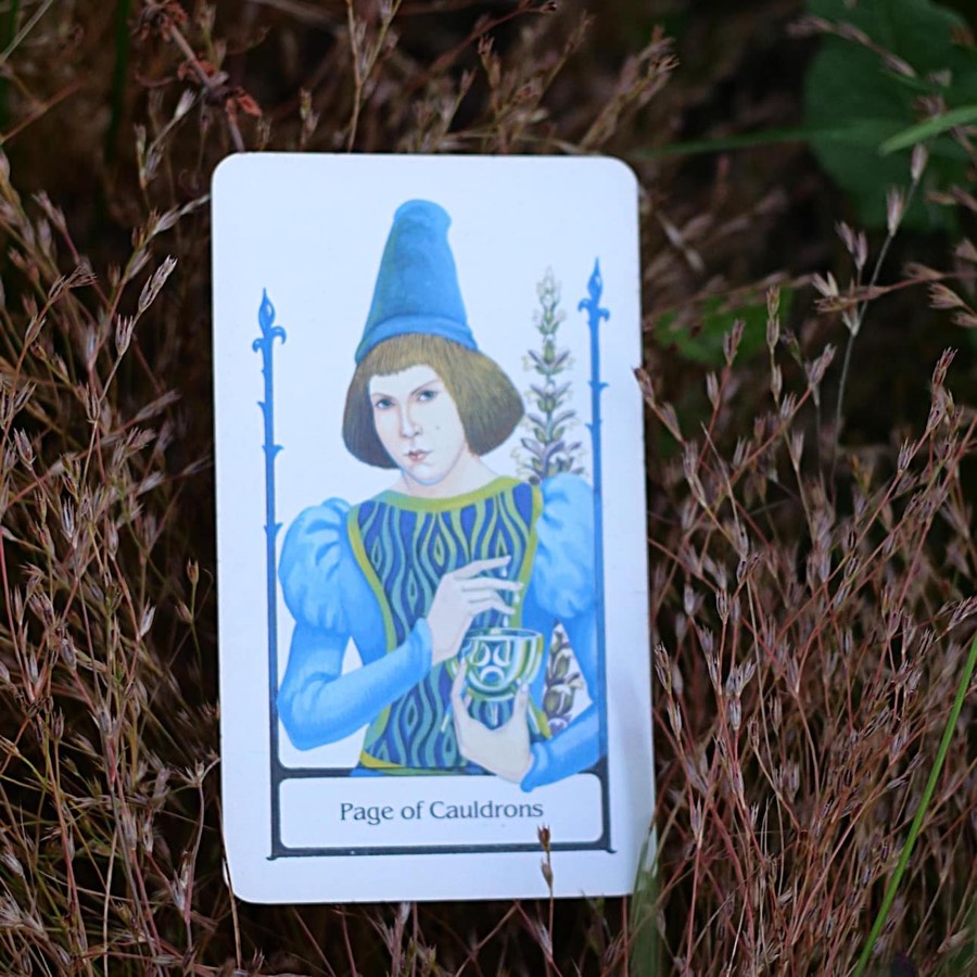 The Page of Cups tarot card photographed outdoors