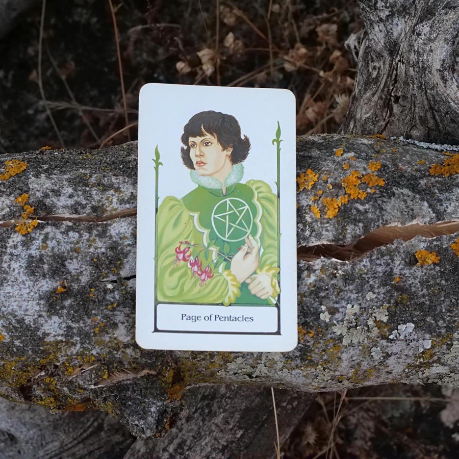The Page of Pentacles tarot card photographed outdoors
