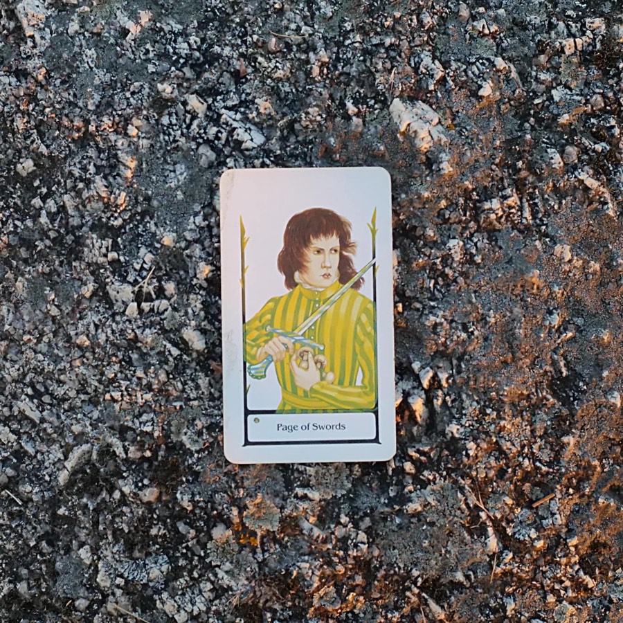 The Page of Swords tarot card photographed outdoors