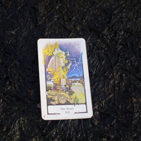 The Tower tarot card, photographed outdoors