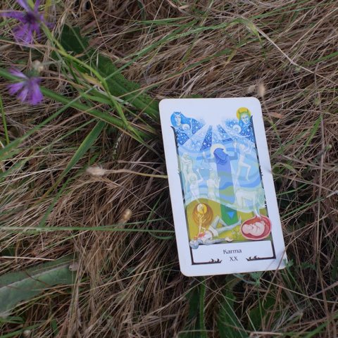 Judgement tarot card, photographed outdoors