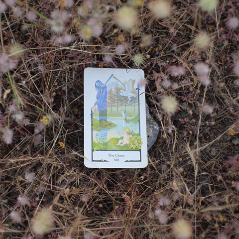 Death tarot card, photographed outdoors