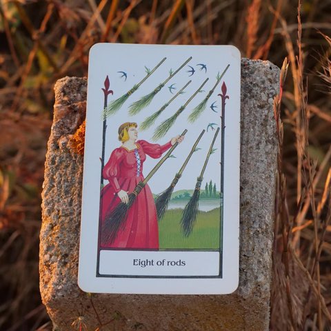 Eight of Wands tarot card, photographed outdoors