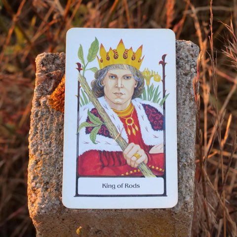King of Wands tarot card, photographed outdoors