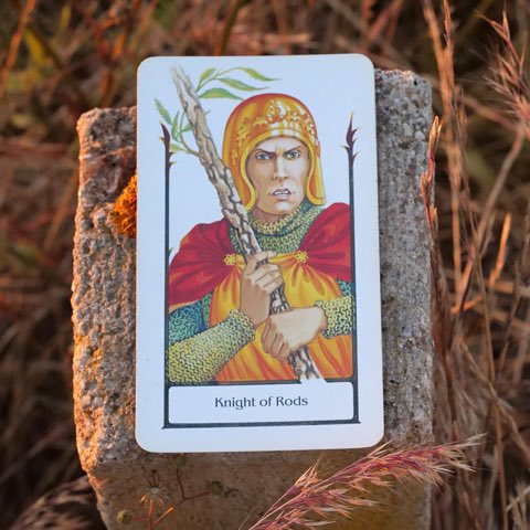 Knight of Wands tarot card, photographed outdoors