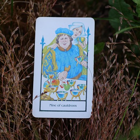 Nine of Cups tarot card, photographed outdoors