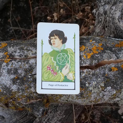Page of Pentacles tarot card, photographed outdoors